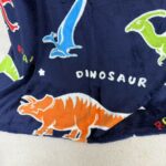Glow In The Dark Dinosaur Blanket - Image 5